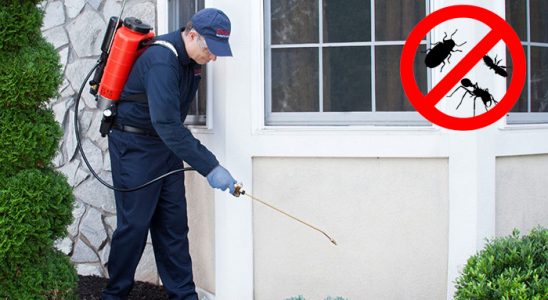 Eskişehir Dezenfeksiyon böcek ilaçlama ve haşere kontrolü — ilaclama-tr.com